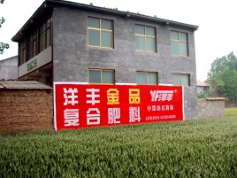 巧家如何让墙体广告展现最大化效果