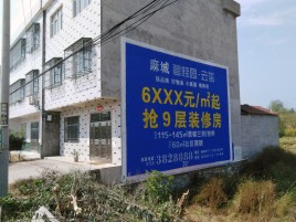 巧家墙体广告质量分析