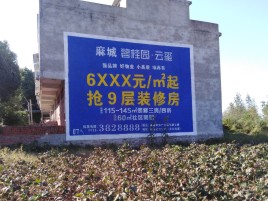 巧家墙体广告的好处