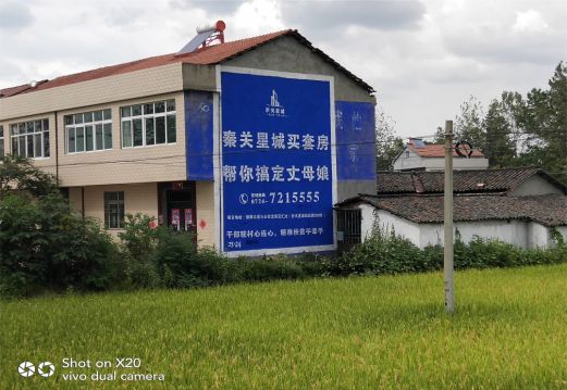 巧家决定墙体广告价格的因素有哪些?