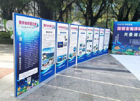 巧家KT板的种类和知识。